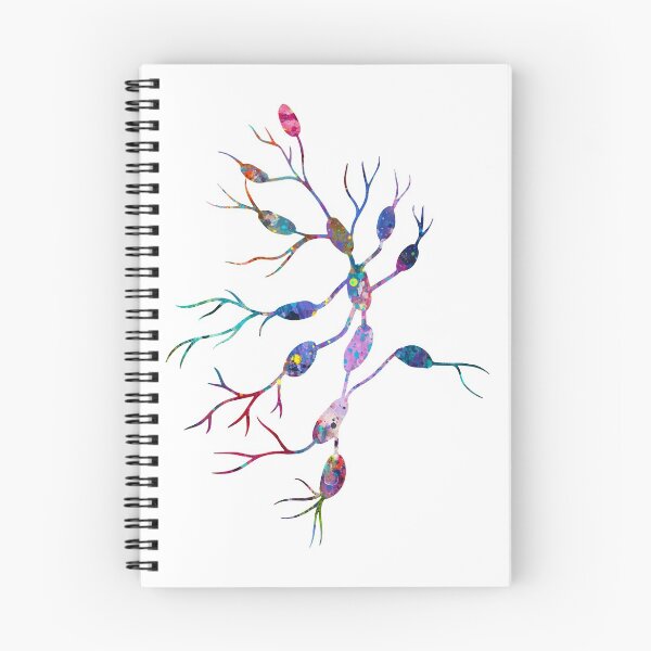 Item preview, Human Lymph Nodes designed and sold by EvasDreams.