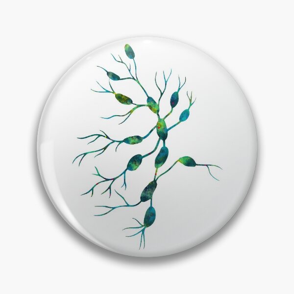 Item preview, Human Lymph Nodes designed and sold by EvasDreams.