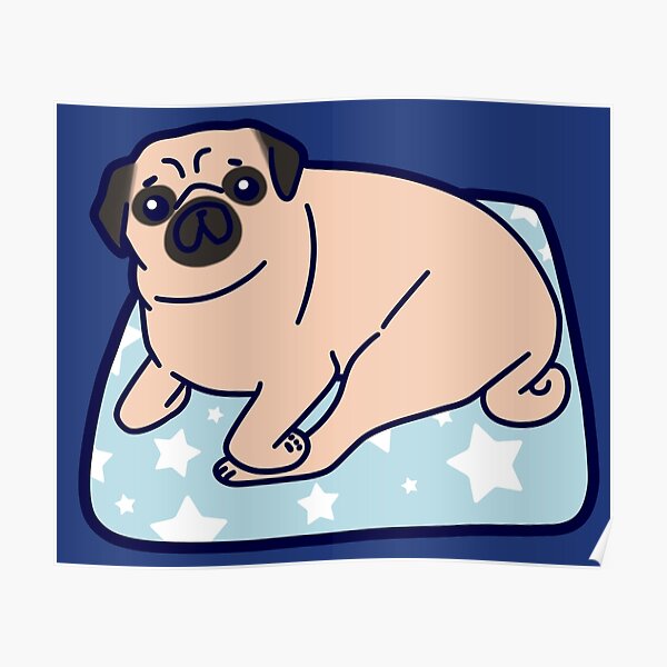 Pug sitting on a Starry Pillow Poster