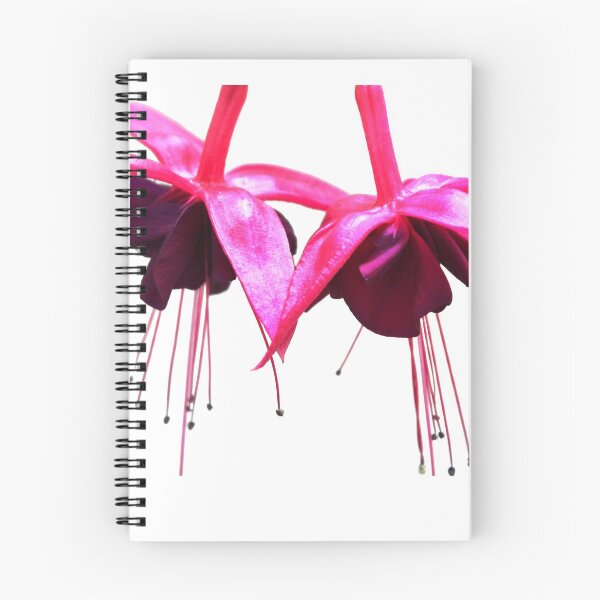 Item preview, Fuchsia flowers photo designed and sold by gabmenfer.