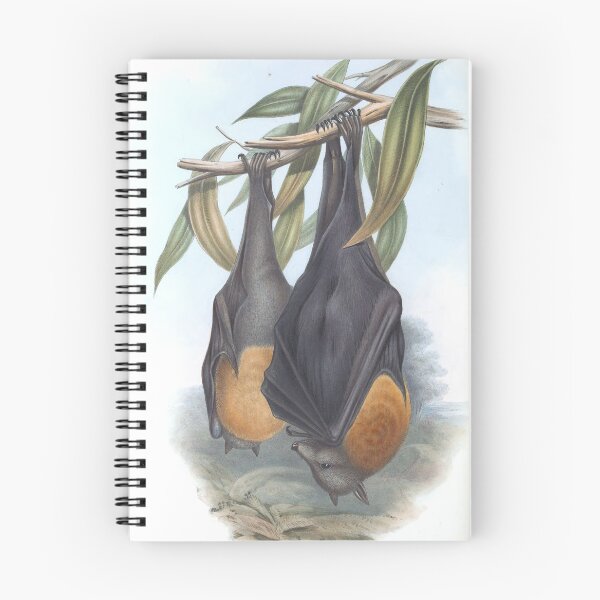 Item preview, Pteropus Poliocephalus (1863) designed and sold by Ouijawedge.