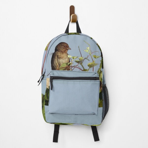 Item preview, My Little Sleepy Backyard Sparrow designed and sold by CarolM.