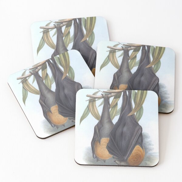 Item preview, Pteropus Poliocephalus (1863) designed and sold by Ouijawedge.