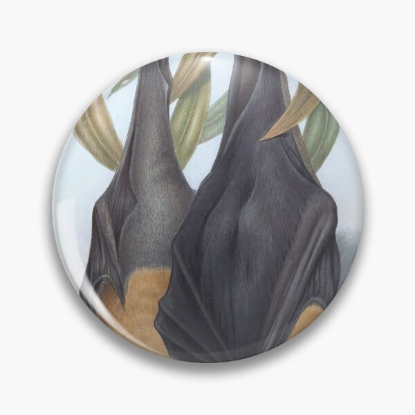 Item preview, Pteropus Poliocephalus (1863) designed and sold by Ouijawedge.