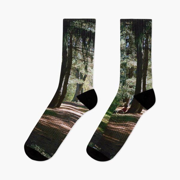 Item preview, Through the Trees in Canton, Ohio. designed and sold by Billlee.