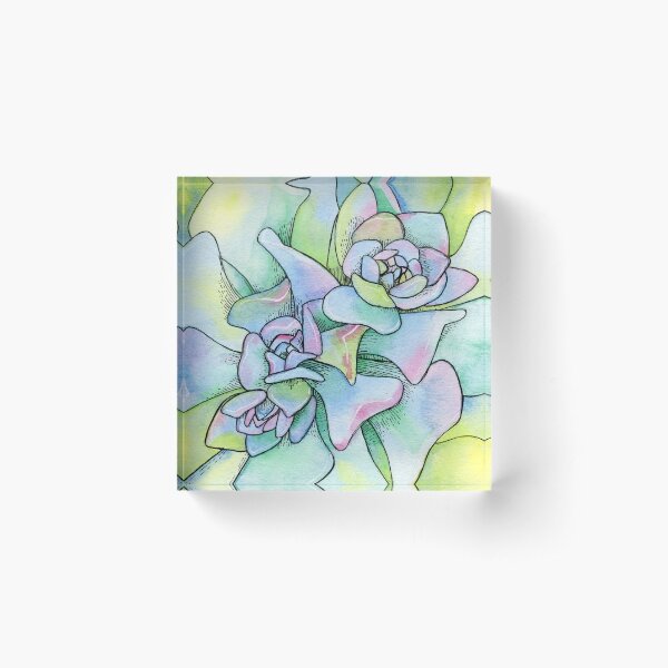 Item preview, succulent 1 designed and sold by terastar.