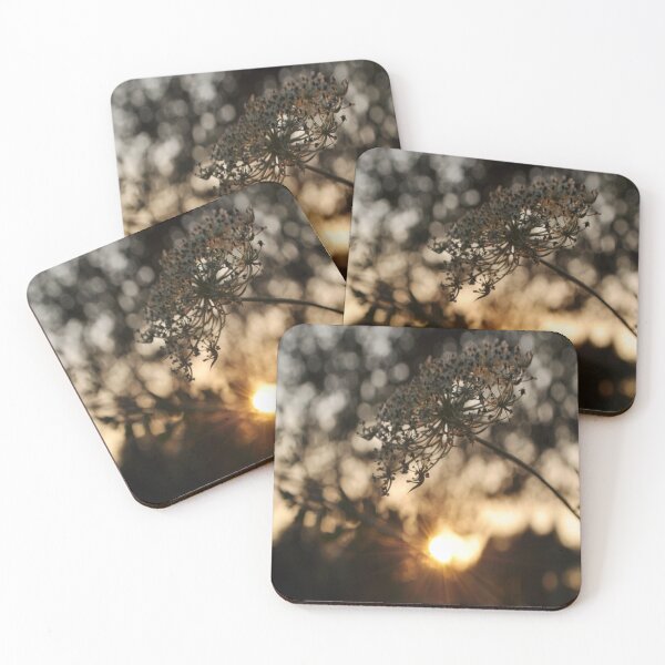 Item preview, Golden Hour Flower designed and sold by JLPhotographer.