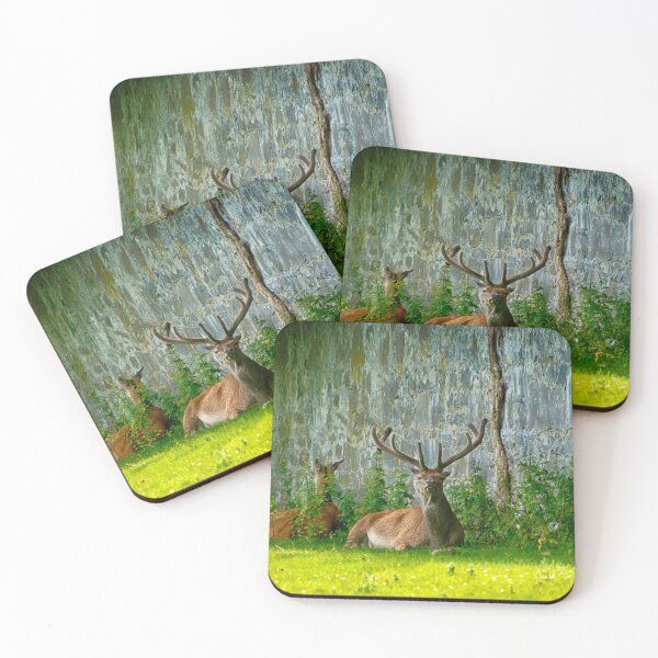 Item preview, Coole Park Deer designed and sold by CathalDevlin.