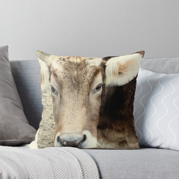 Aperçu de l'œuvre Comment maintenant vache brune créée et vendue par Amanda Vontobel Photography/Random Fandom Stuff.