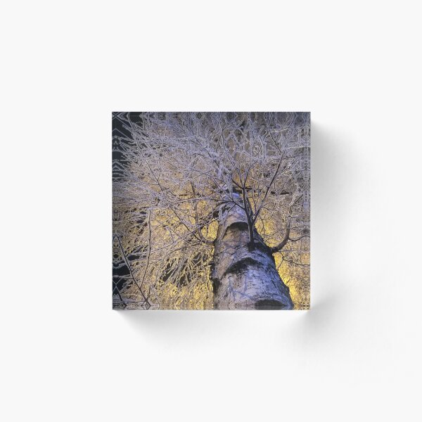 Magical winter Acrylic Block