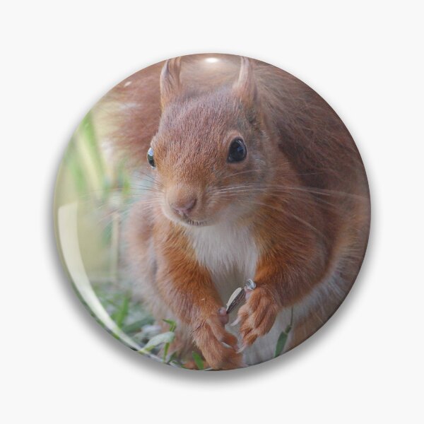 Item preview, squirrel designed and sold by Glineur.