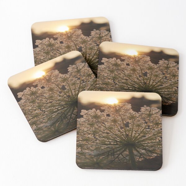 Item preview, Golden Hour Queen Anne's Lace Plant designed and sold by JLPhotographer.