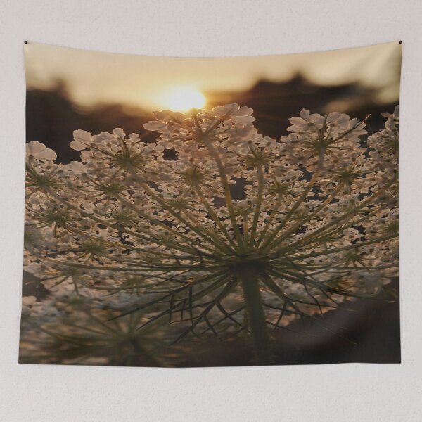 Item preview, Golden Hour Queen Anne's Lace Plant designed and sold by JLPhotographer.