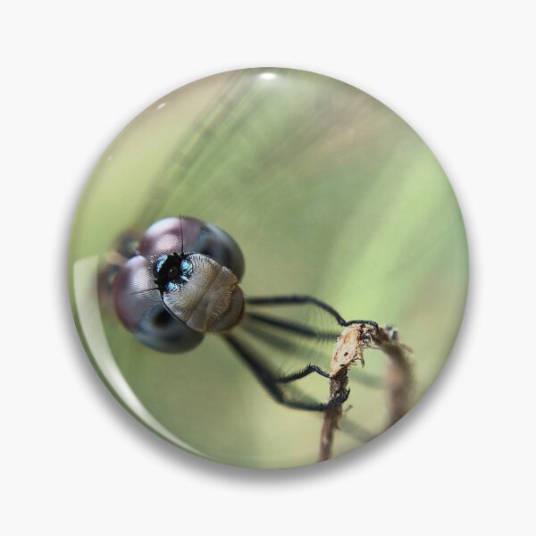 Item preview, Dragonfly Face designed and sold by FlutterKatArts.