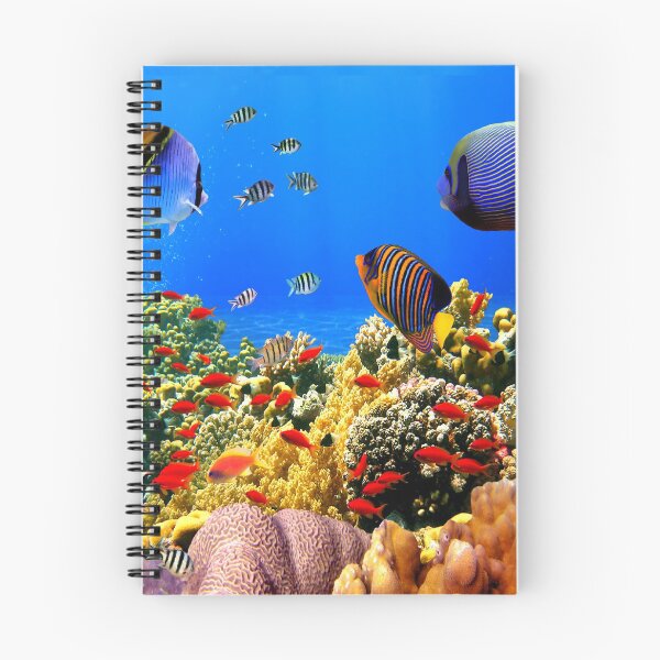 Aperçu de l'œuvre La vie sous-marine. créée et vendue par SESIZmenHICKIM.