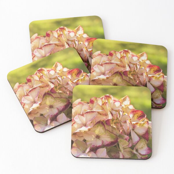 Item preview, The sun shines through designed and sold by UrsulaKlepper.