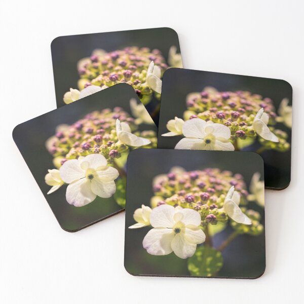 Item preview, Hydrangea white designed and sold by UrsulaKlepper.