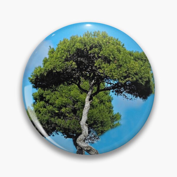 Item preview, Mediterranean Umbrella Pine trees and Cloud Blue Sky designed and sold by worldways.