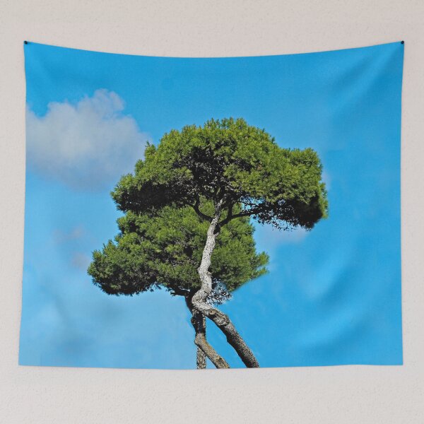 Item preview, Mediterranean Umbrella Pine trees and Cloud Blue Sky designed and sold by worldways.
