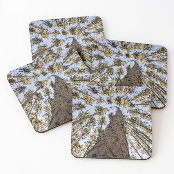Item preview, Copy of Tall Trees designed and sold by shihaams.
