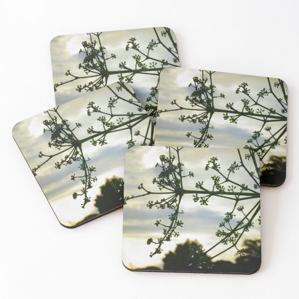 Item preview, Shadowed Budding Green Plant with Water Droplets and Cloudy Sky Background designed and sold by StayCuztom.