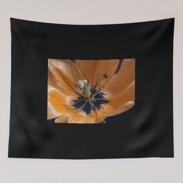 Item preview, 5078 designed and sold by peter holme III.