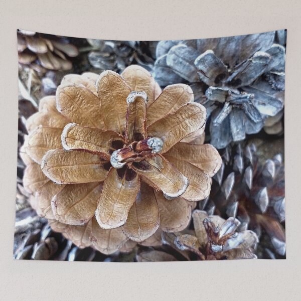Item preview, Open Pine Cones Pile Closeup designed and sold by worldways.