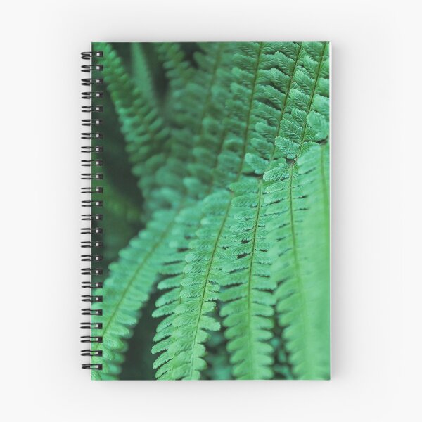 Item preview, Fern Pattern  designed and sold by joabaj.