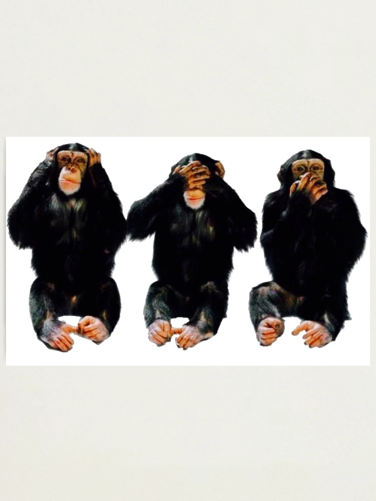 Amazon.co.jp: 未開封 Wild Wise Apes 3rd world : おもちゃ