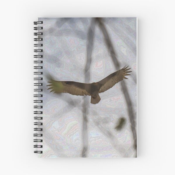 Item preview, Turkey Vulture designed and sold by AhArtography.