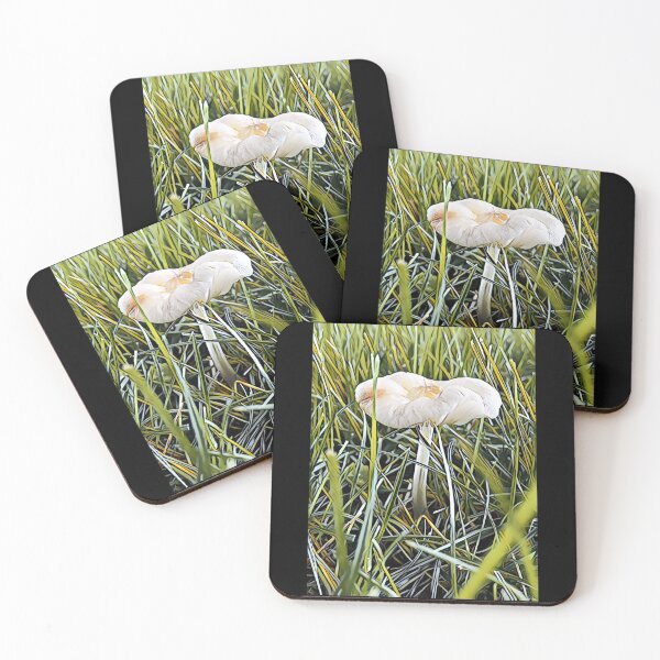 Item preview, Pequeño hongo blanco designed and sold by Figglywig Art Studios.