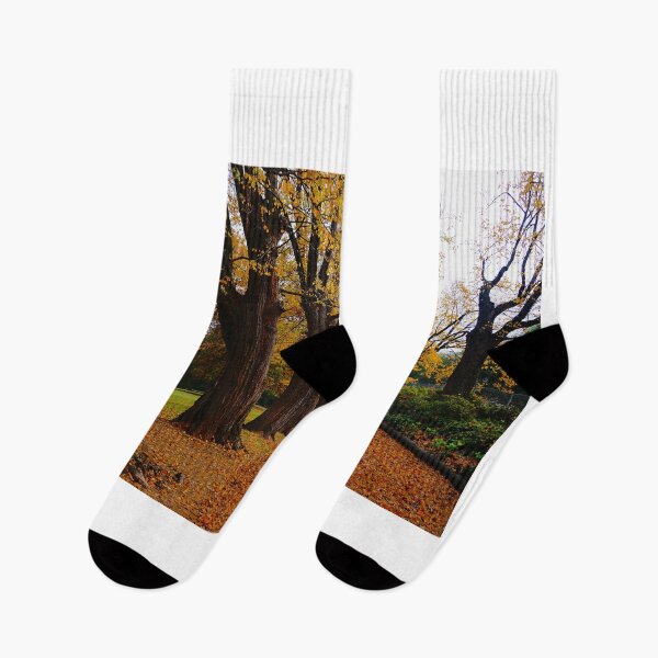 Item preview, The Botanic Gardens designed and sold by D-GaP.