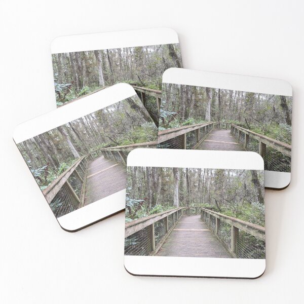 Item preview, Beautiful Forestry Photo of Florida Wetlands Cypress Board Walk designed and sold by JDMHoney.