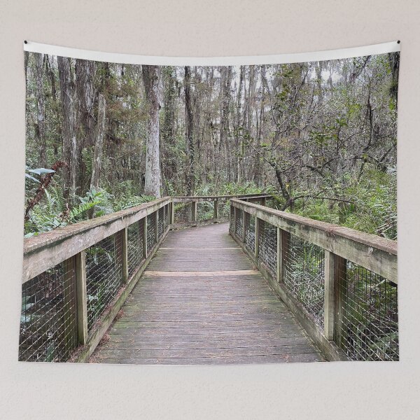 Item preview, Beautiful Forestry Photo of Florida Wetlands Cypress Board Walk designed and sold by JDMHoney.