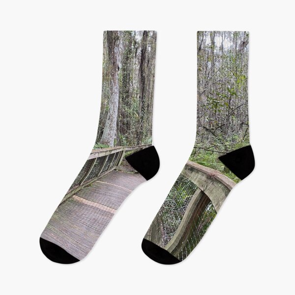 Item preview, Beautiful Forestry Photo of Florida Wetlands Cypress Board Walk designed and sold by JDMHoney.
