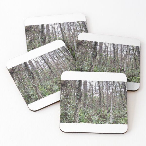 Item preview, Forestry Photo of Florida Wetlands Cypress Tree Forest designed and sold by JDMHoney.