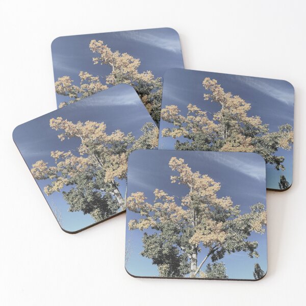 Item preview, Tree in the City Park designed and sold by pumpqin.