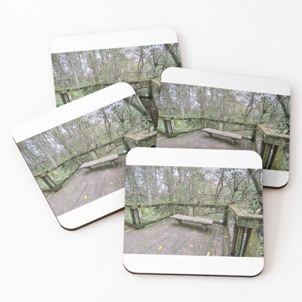 Item preview, Beautiful Forestry Photo of Florida Wetlands Cypress Empty Bench Seat designed and sold by JDMHoney.