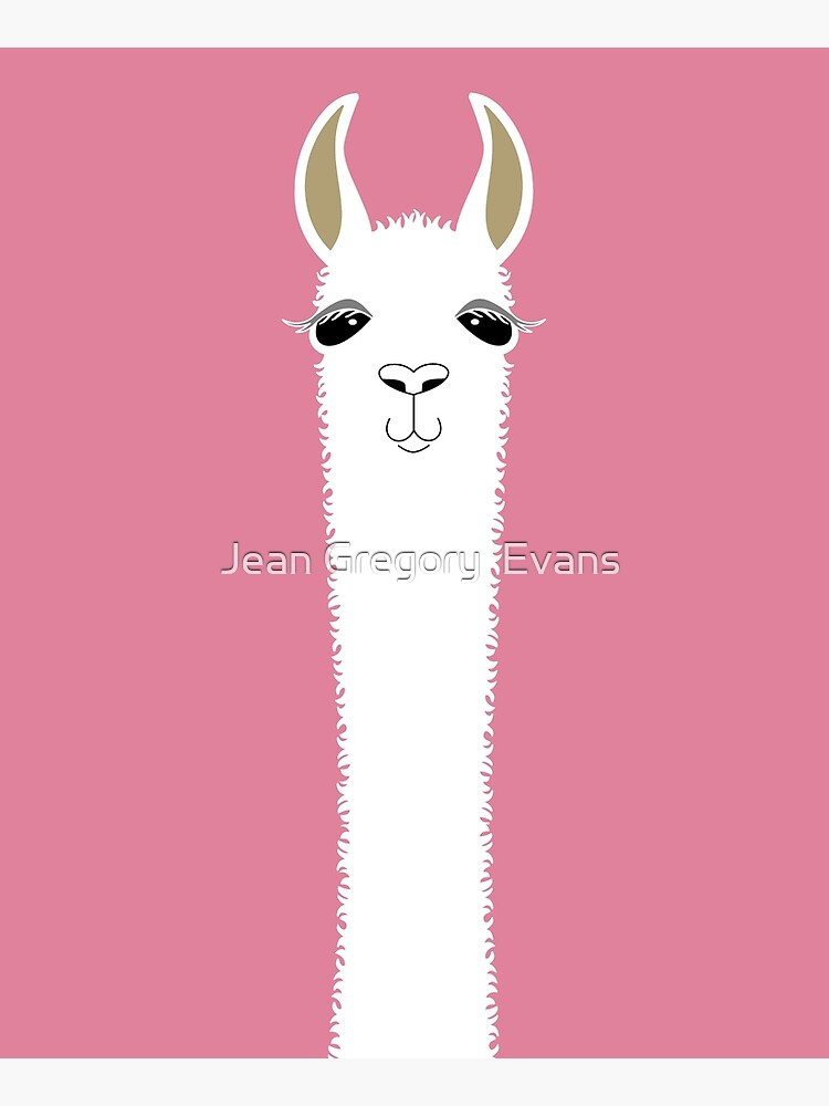 LLAMA PORTRAIT #5 by jgevans