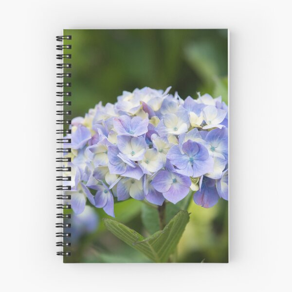 Item preview, Beautiful Pastel Purple Hydrangea in Summer Garden designed and sold by Amy Mitchell.
