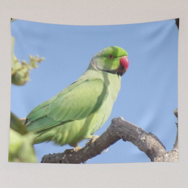 Item preview, Pristine Barbados Green Parrot_Rose-Ringed Parakeet designed and sold by StayCuztom.