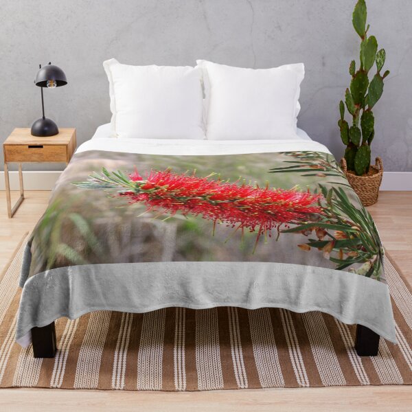 Item preview, Bottlebrush (Callistemon) in Girraween NP. Queensland, Australia. designed and sold by Hughesy-foto.