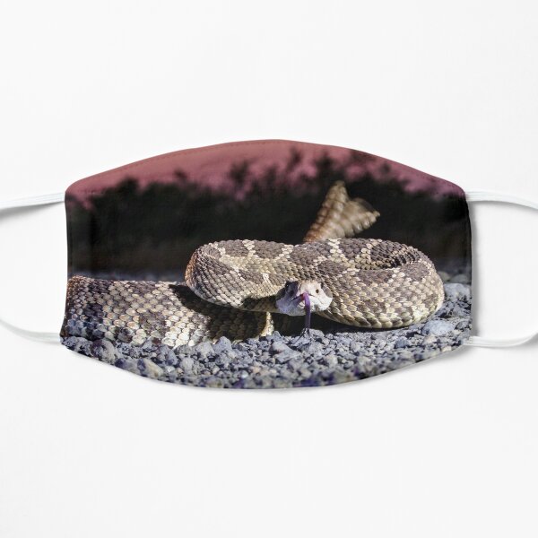 Rattlesnake tail Flat Mask
