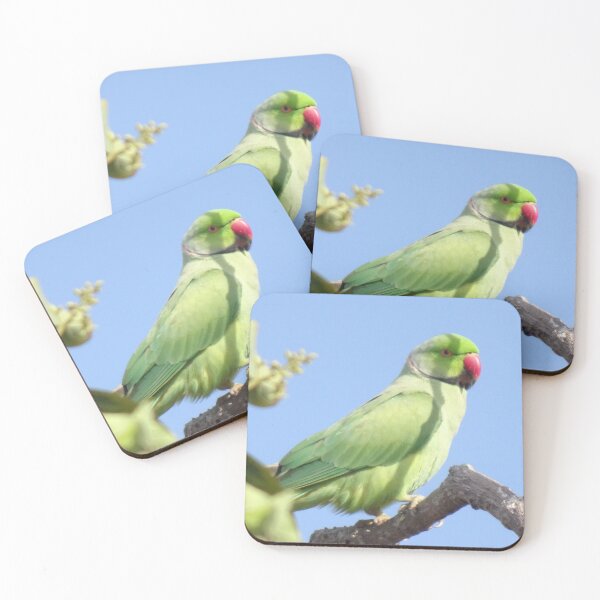 Item preview, Pristine Barbados Green Parrot_Rose-Ringed Parakeet designed and sold by StayCuztom.