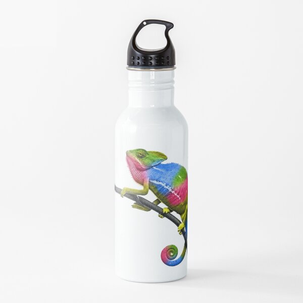 Rainbow Chameleon Water Bottle