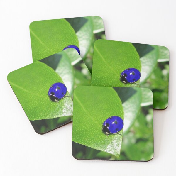Item preview, Blue ladybug designed and sold by Fatimalak.