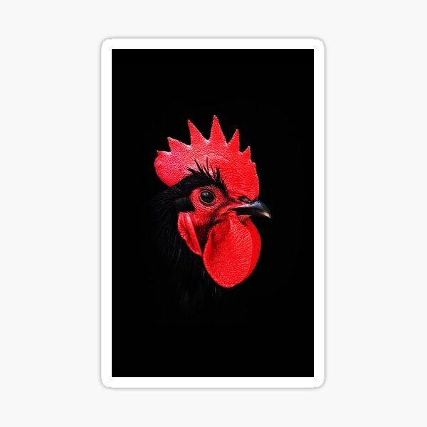 Black Rooster Sticker