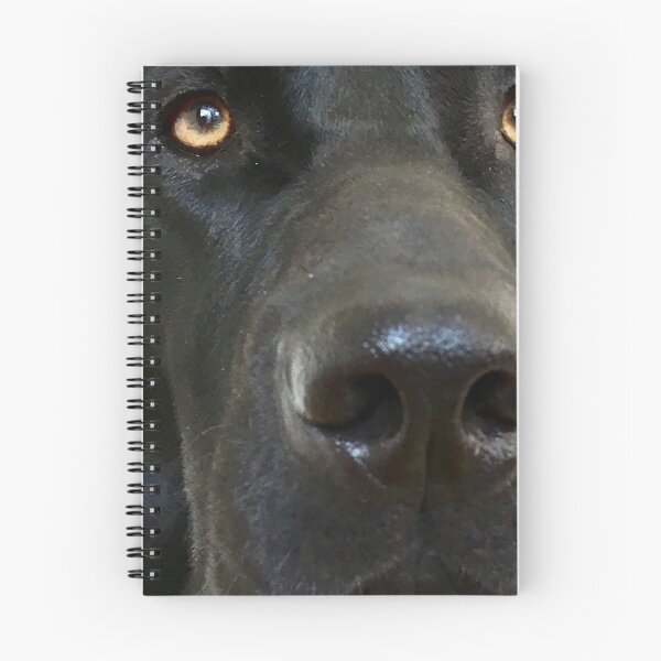 Item preview, Dogface with cute eyes designed and sold by K8nboiz.