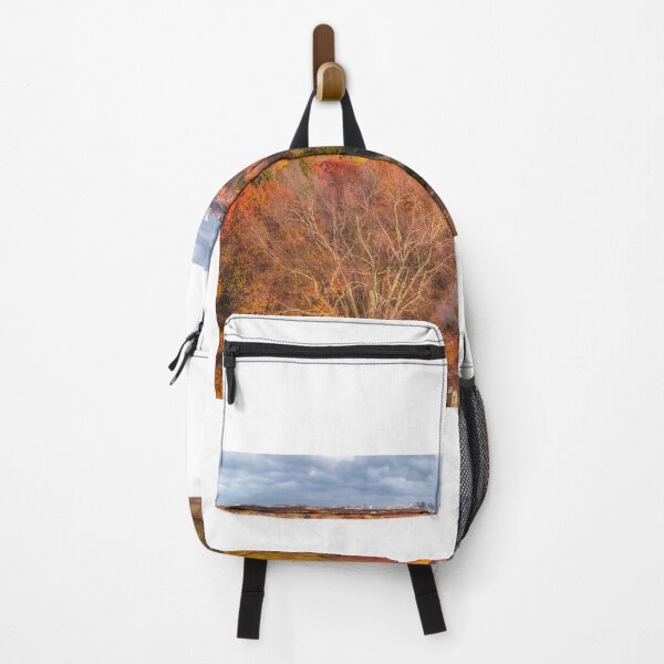 Item preview, Boston from Mount Auburn Cemetery designed and sold by Under The Radar Van.