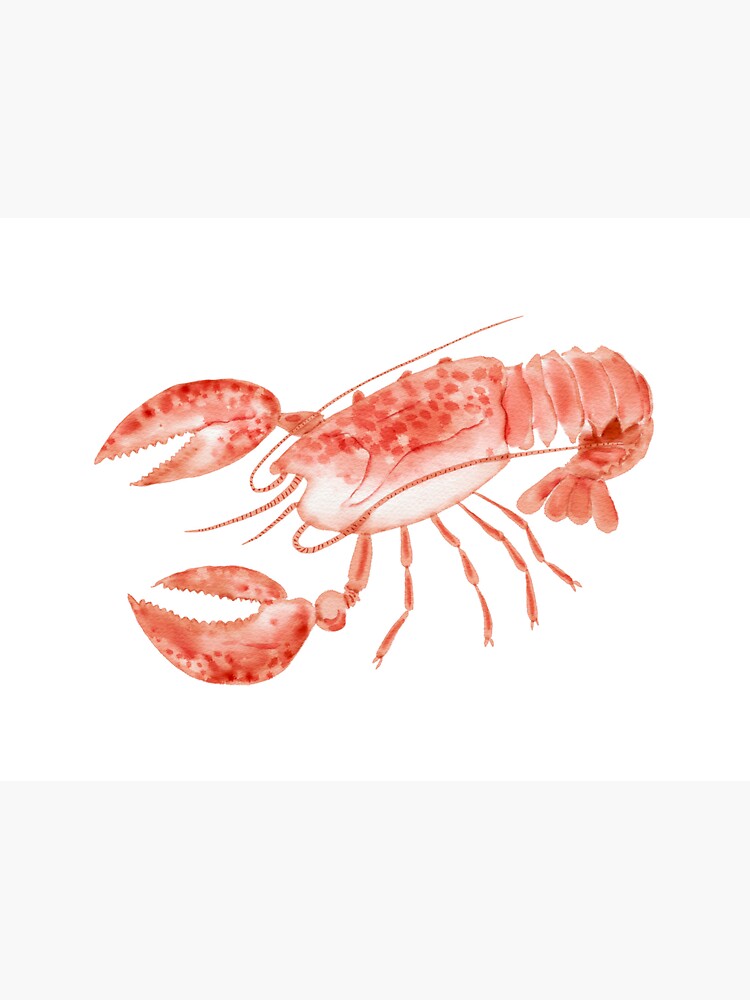 "Watercolor Illustration of Rock Lobster" Sticker for Sale by iswenyi